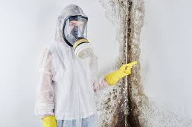 Trusted Harrisville, PA Mold Removal Experts